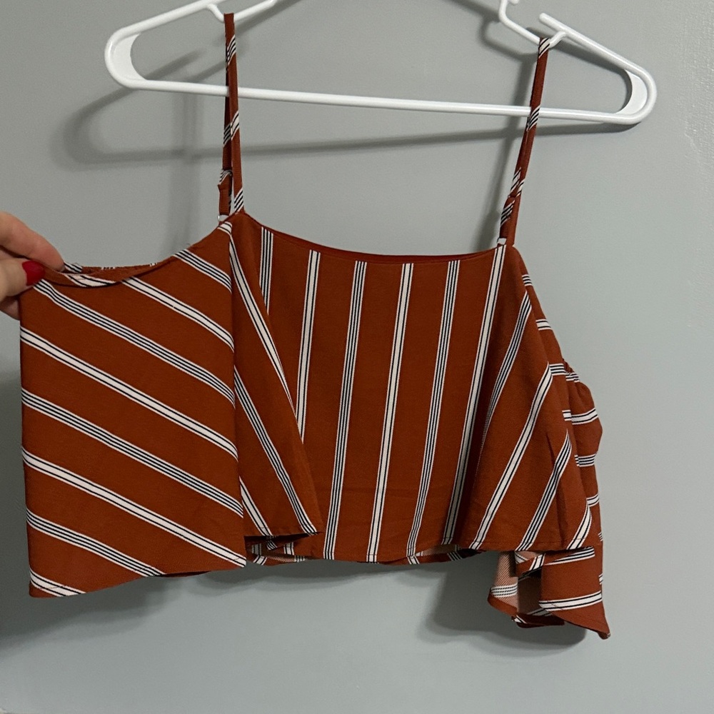 Windsor Brown and White Striped Crop Top